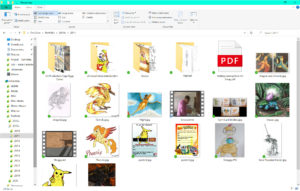 Portfolio folder