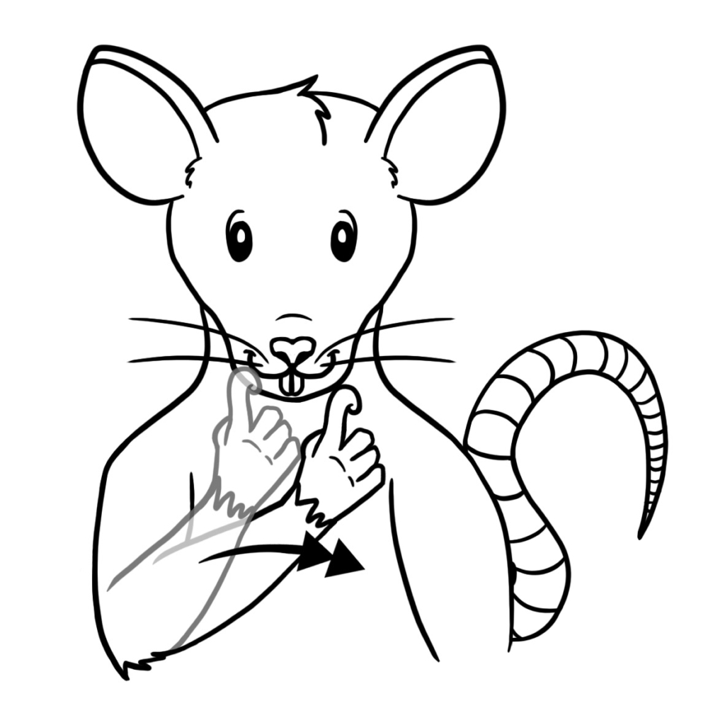 Mouse flash card
