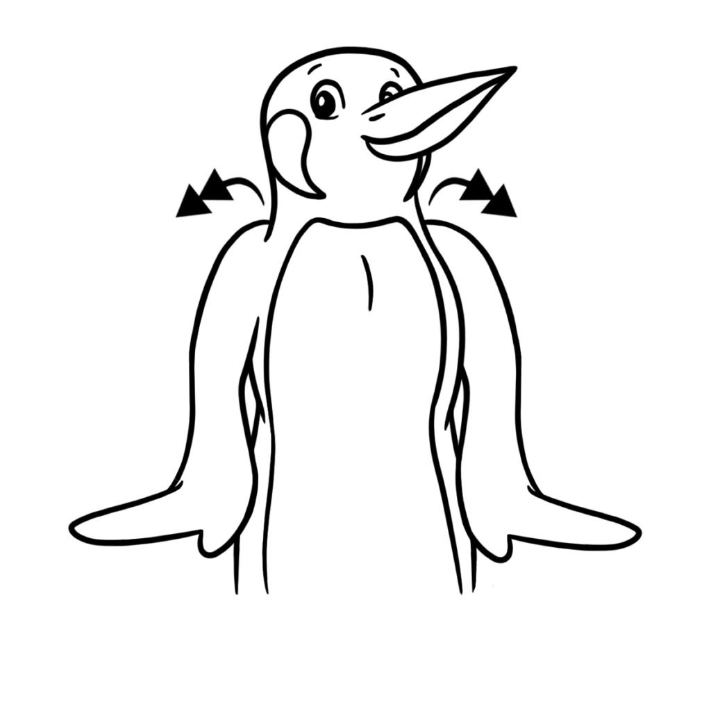 Penguin flash card