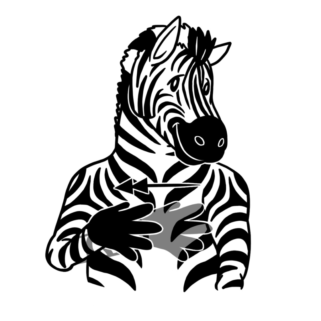 Zebra flash card